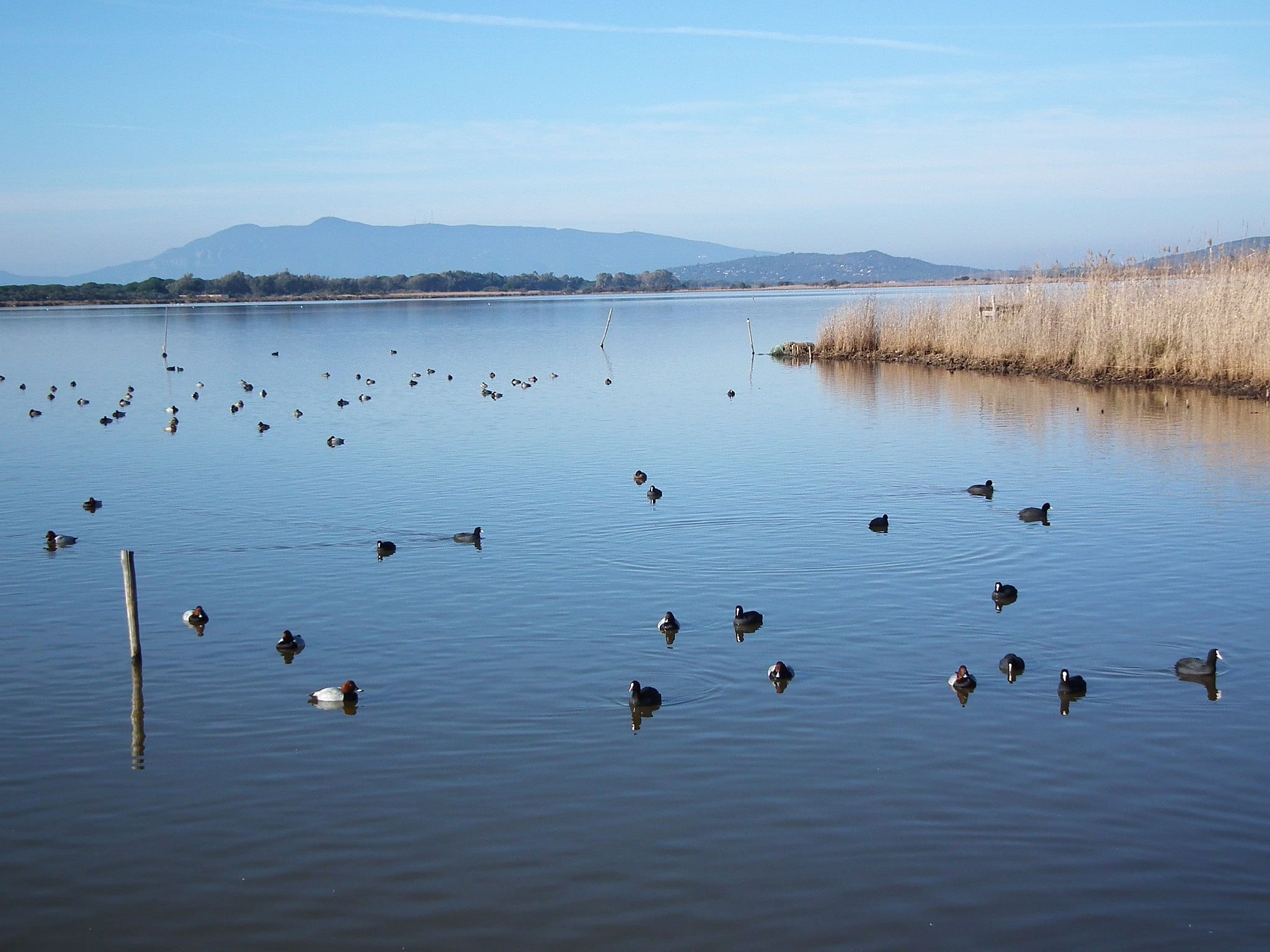 Lago di Burano