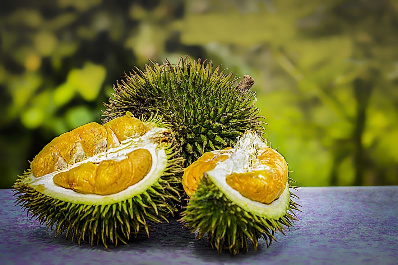 durian frutta