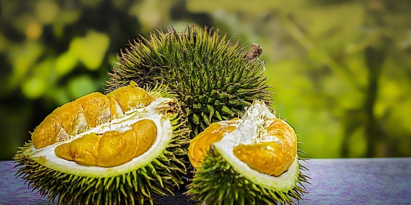 durian frutta