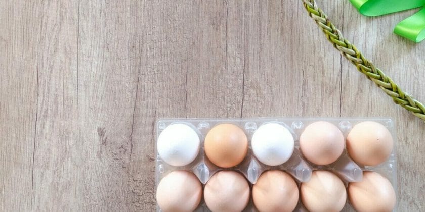 Come riciclare i contenitori di plastica di uova e ricotta e decorare la  casa