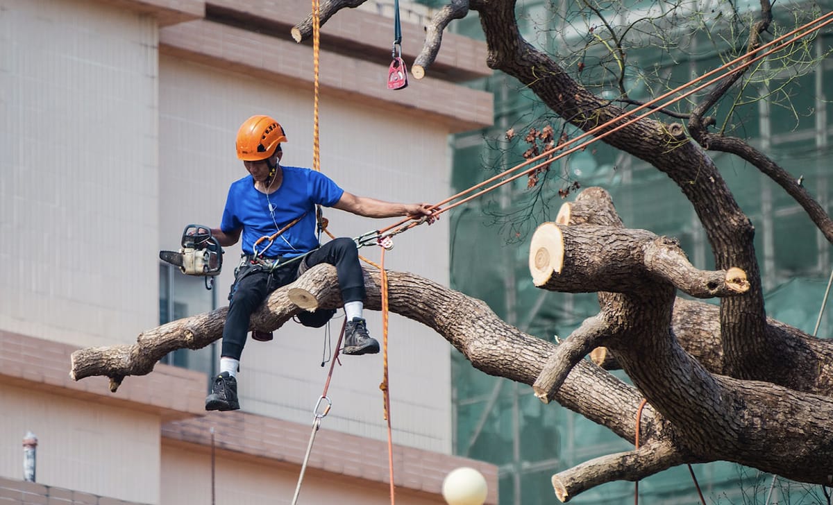 sicurezza sul lavoro