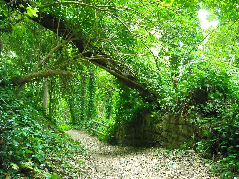 Cratere degli Astroni