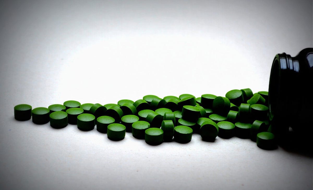 alga chlorella