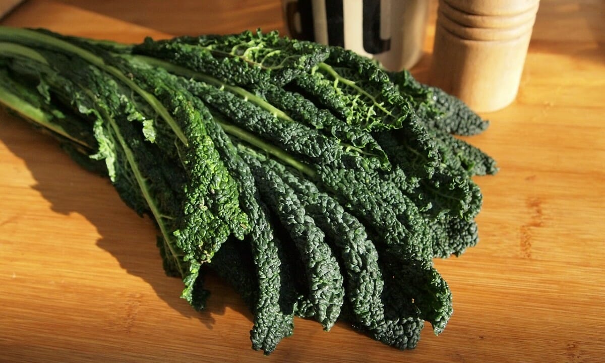 cavolo nero