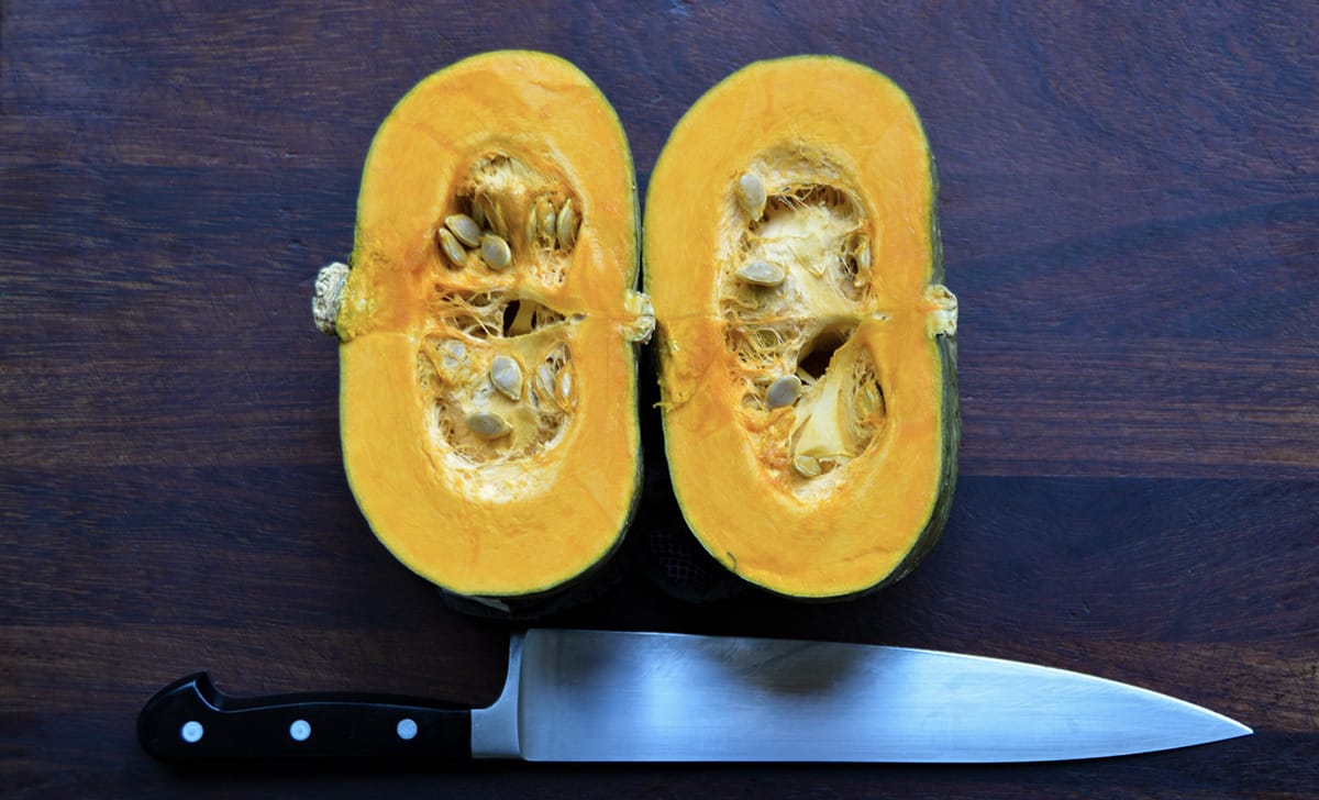 zucca