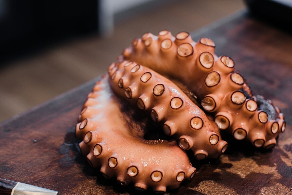 Basta un polpo per preparare primo e secondo