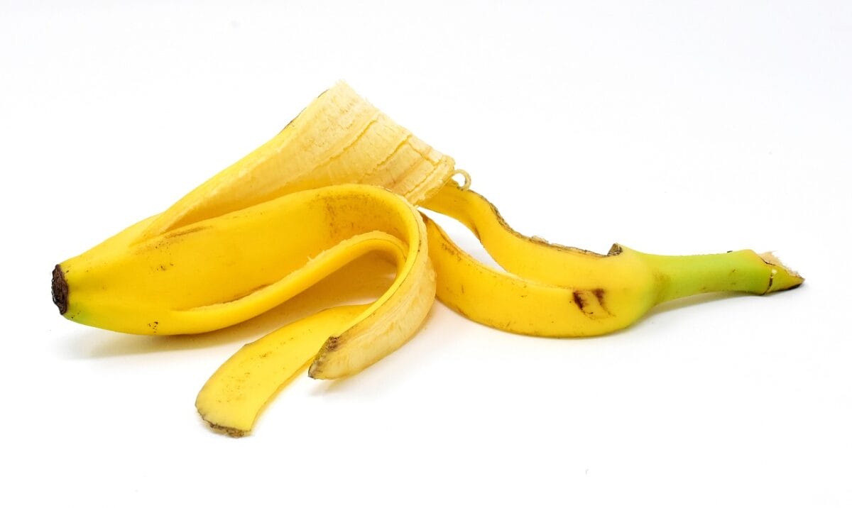 Con le bucce di banane possiamo creare un fertilizzante-proiezionidiborsa.it
