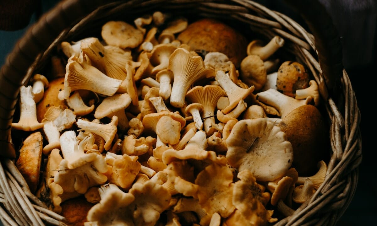 Dimagrire con la dieta dei funghi