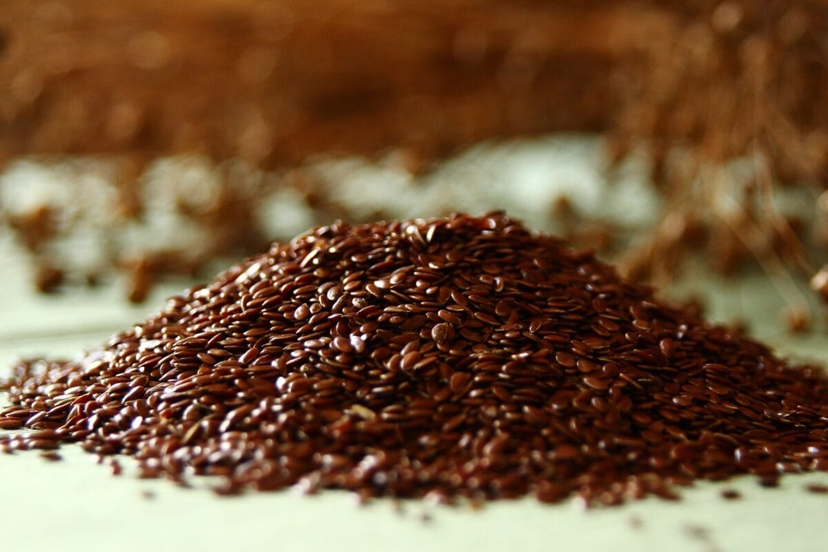 I semi di lino sono ricchi di sostanze nutritive-proiezionidiborsa.it