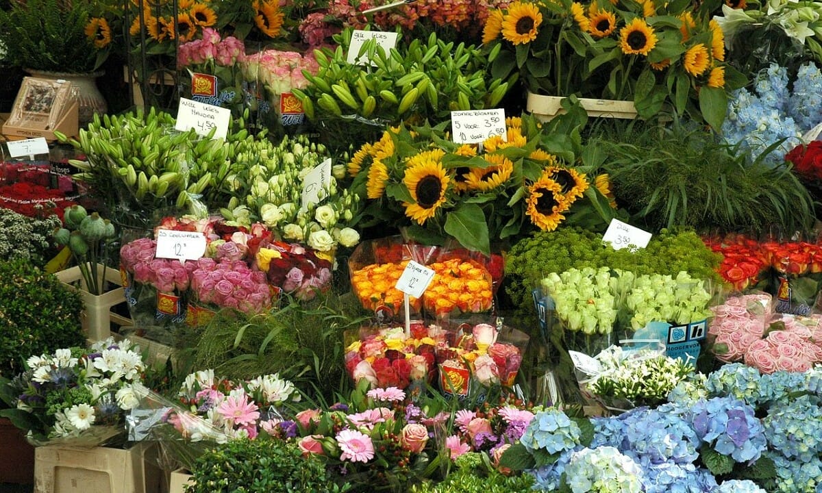 Il famoso mercato dei fiori