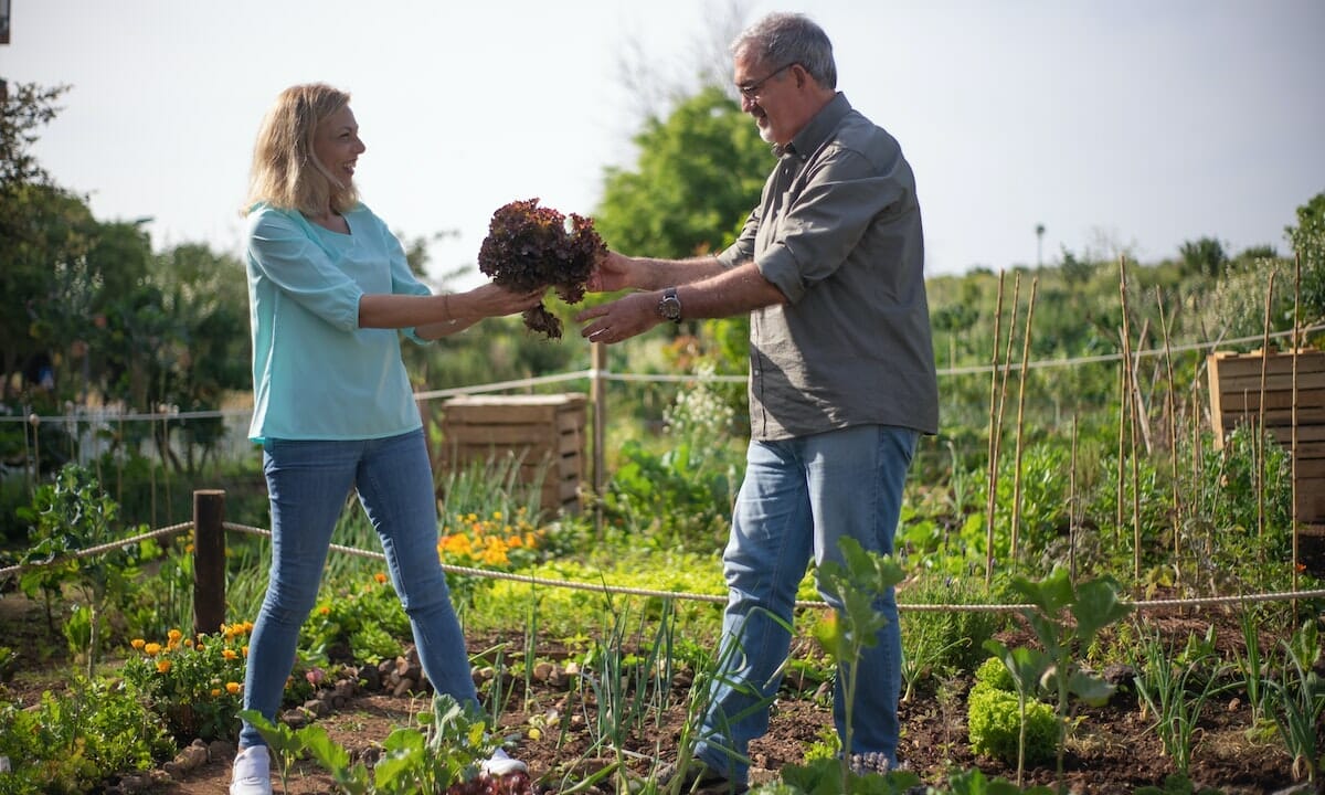 Piantare e seminare a dicembre