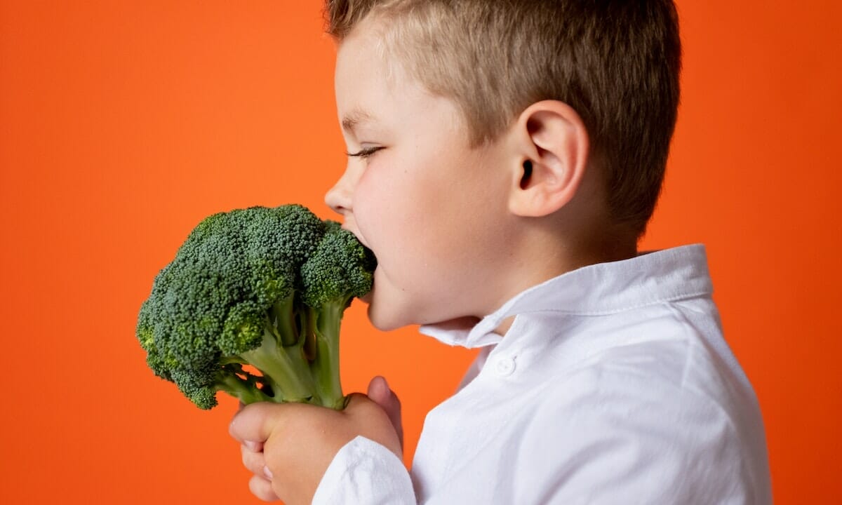 Qual è il tempo di digestione dei cibi