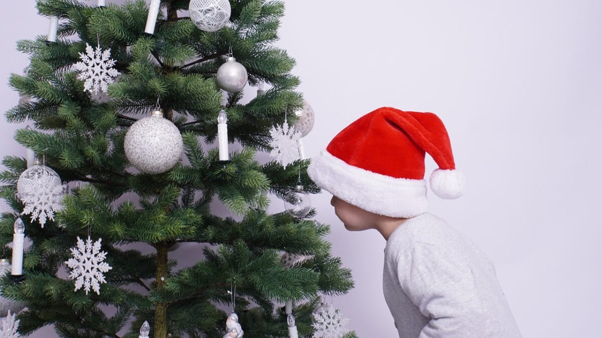 i bambini dovranno correre verso l’albero