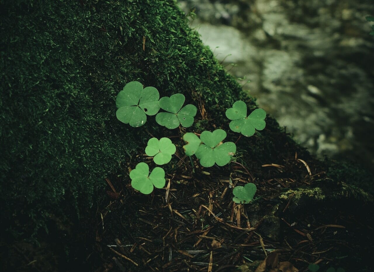 Trovare oggetti per strada