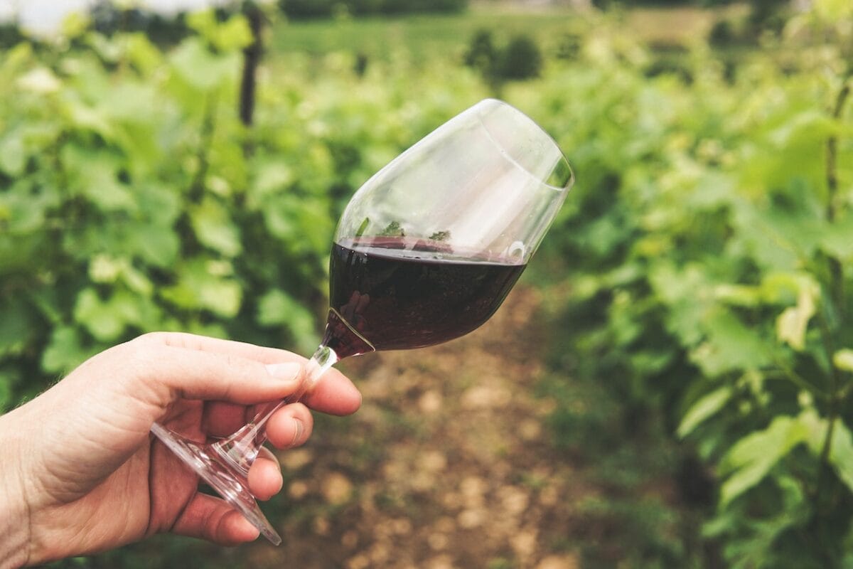 Le cantine del Chianti sono una realtà vinicola internazionale