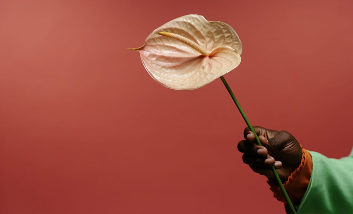 Possiamo regalarlo non solo alla persona amata, ma anche ad amici per augurare fortuna, prosperità e benessere