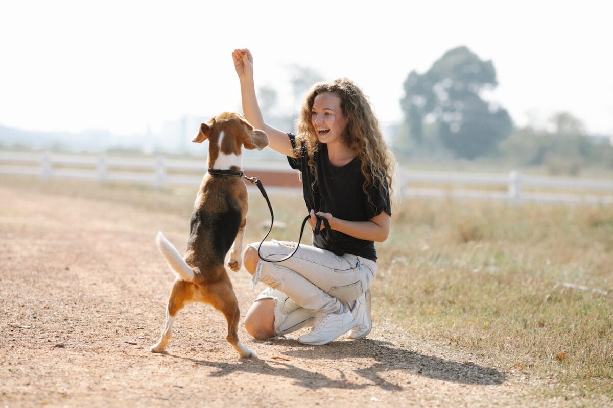 Educare il cane con la ricompensa dello snack