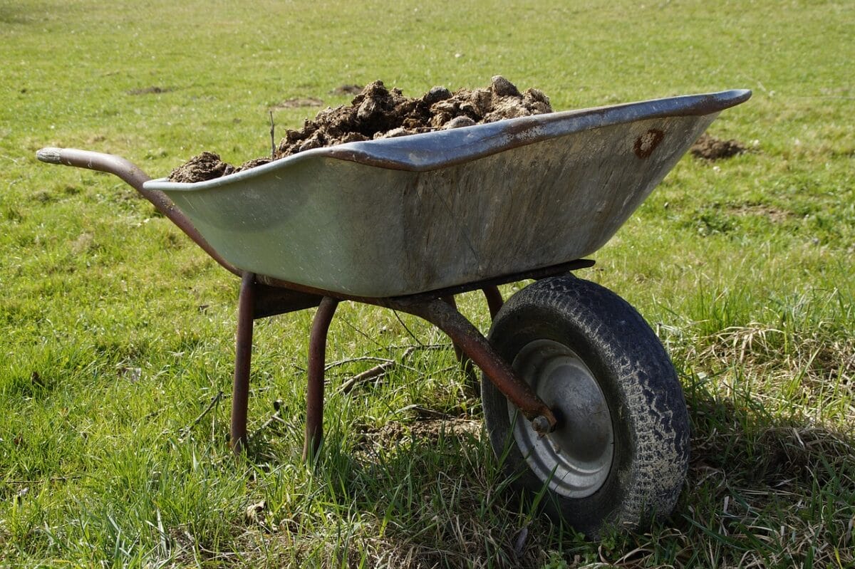 Preparare il terreno con compost e letame