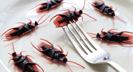 4 trucchi sconosciuti per eliminare gli scarafaggi