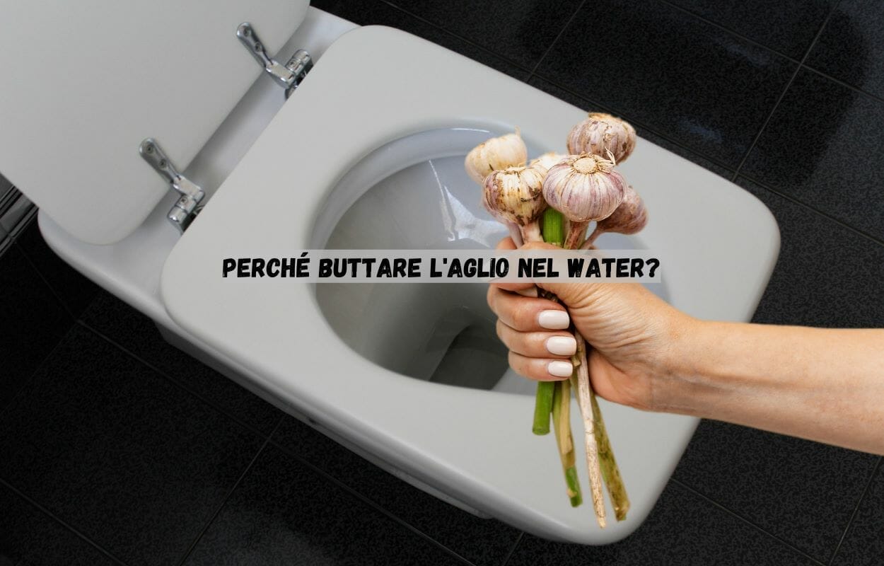 Ecco perchè buttare aglio nel wc