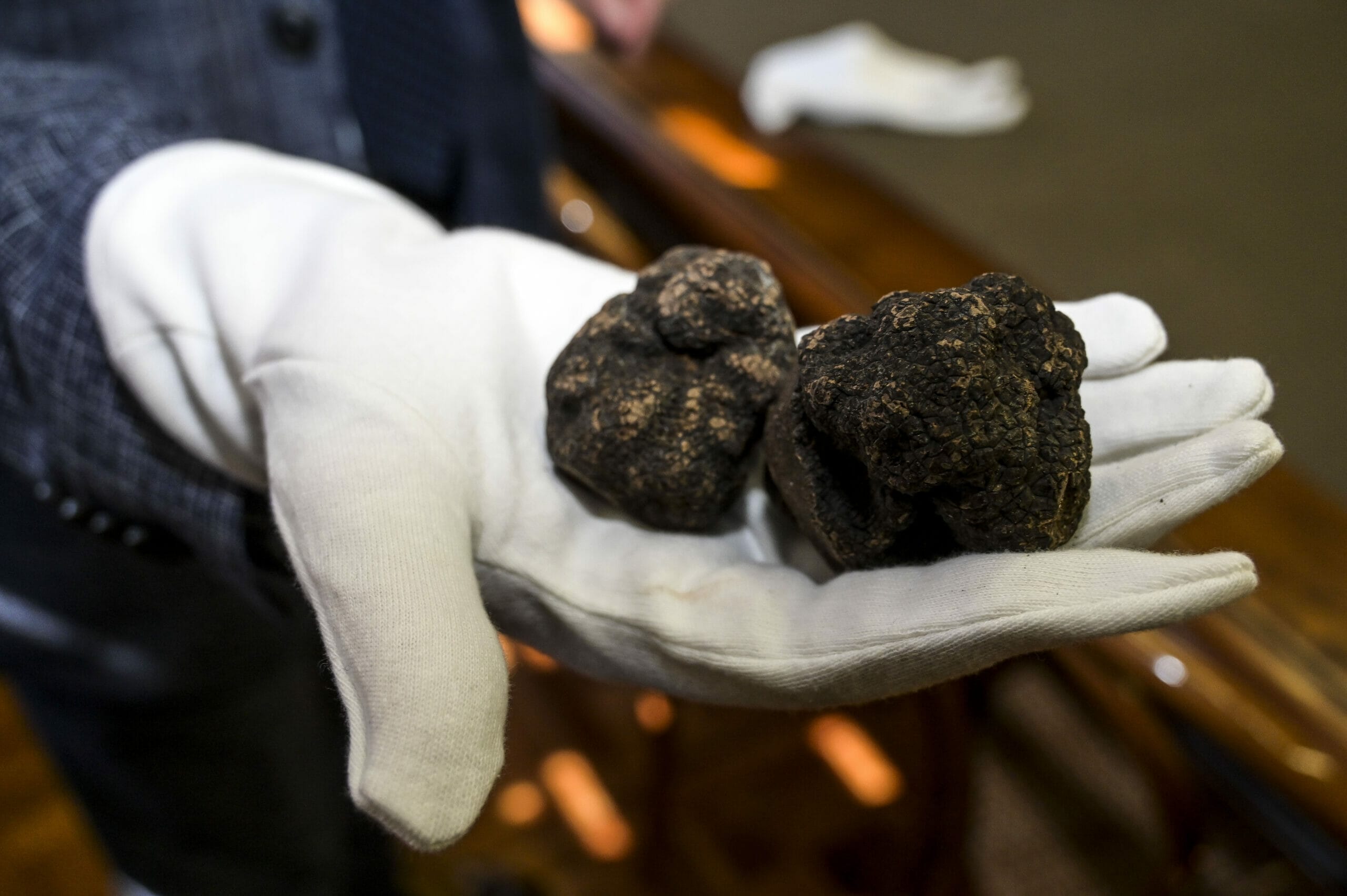 Febbraio è perfetto per scoprire Umbria e Marche-tartufo