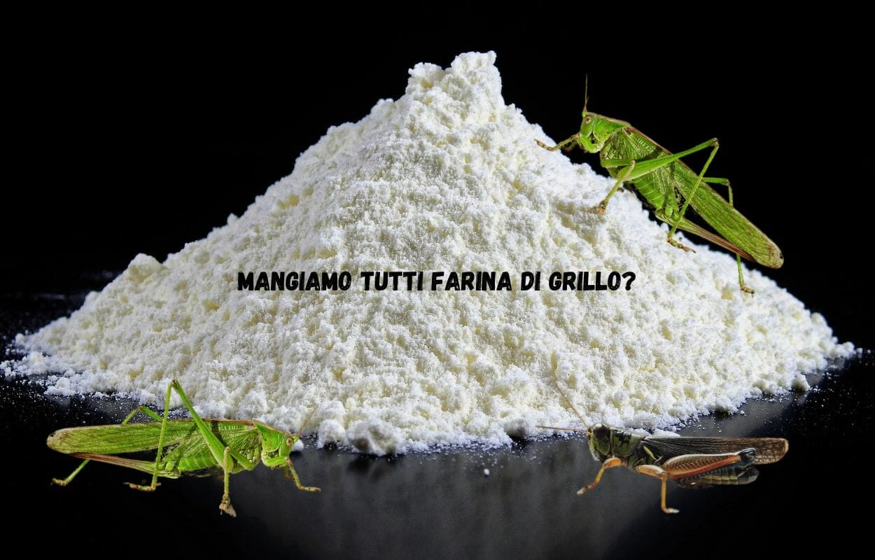 In alcuni alimenti c'è la farina di grillo
