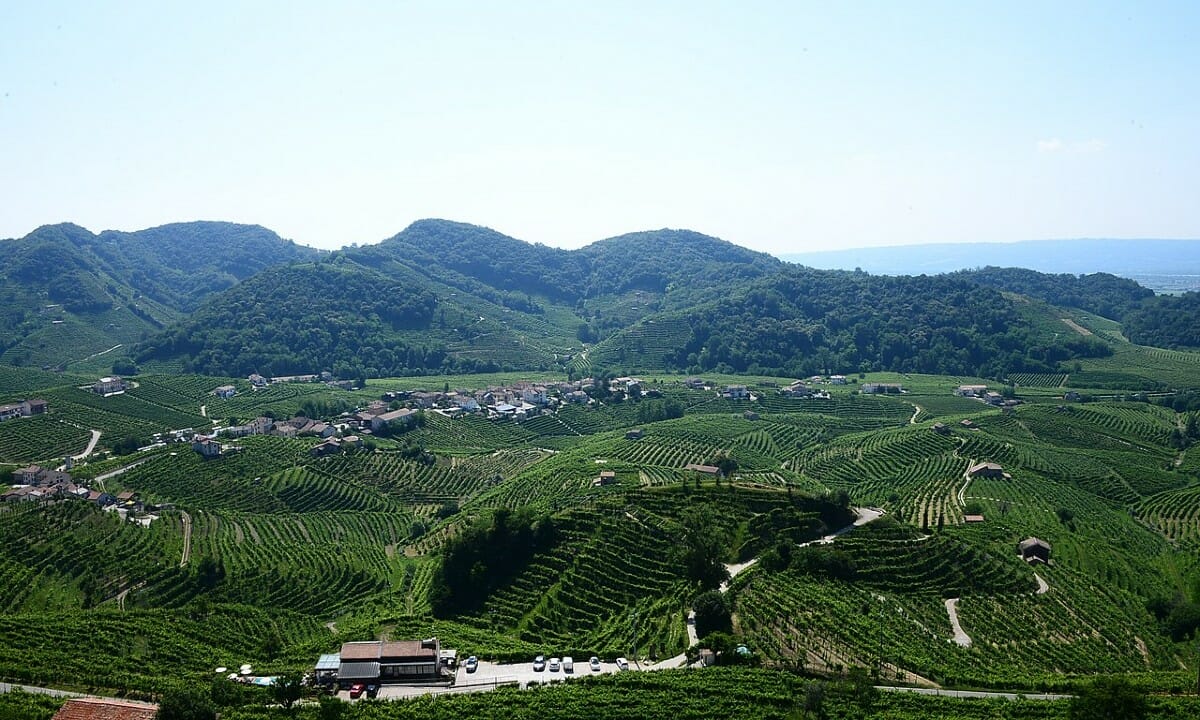 Prodotti genuini mangiando immersi nella natura