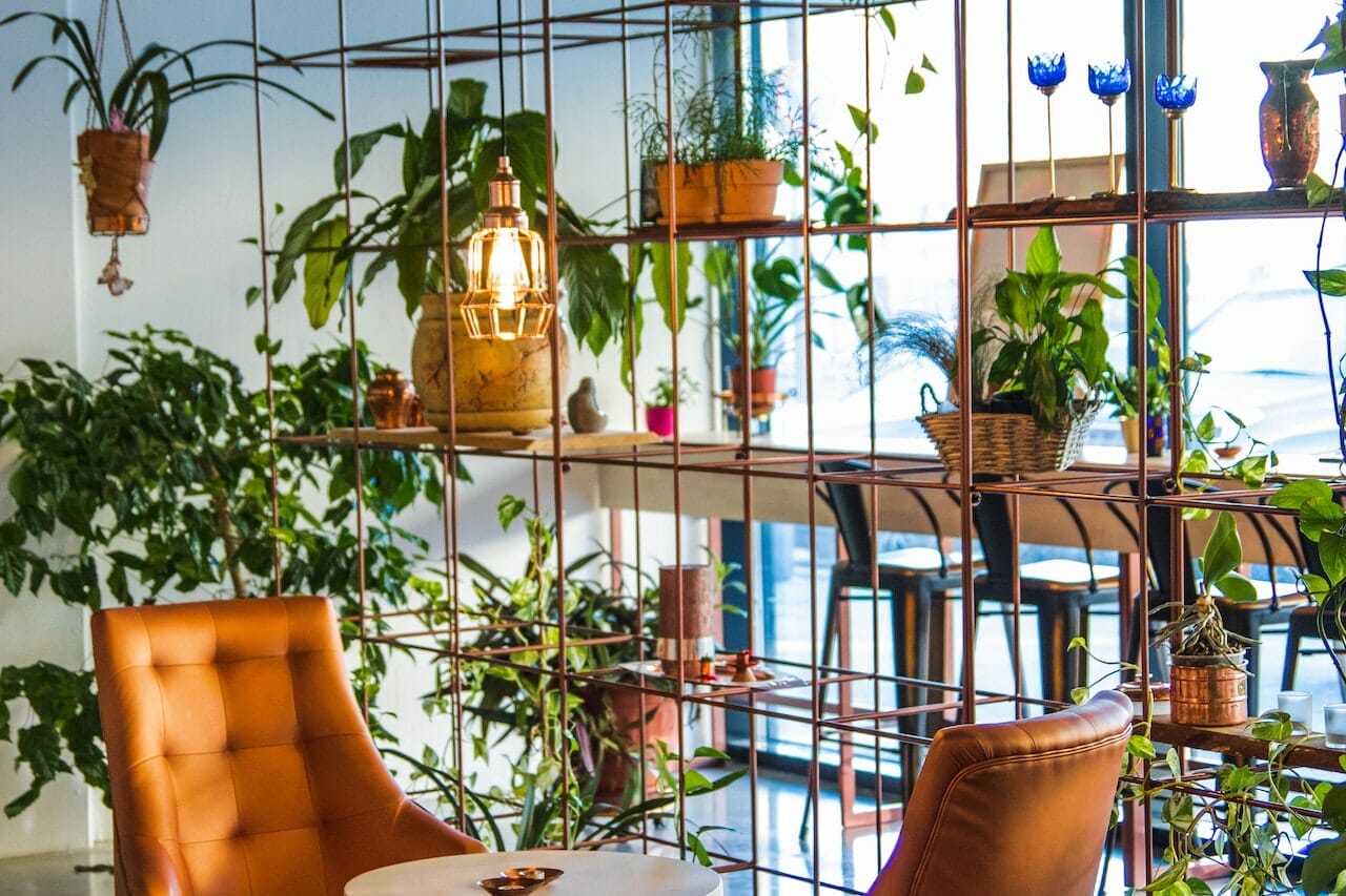 Profumo celestiale con le piante in casa