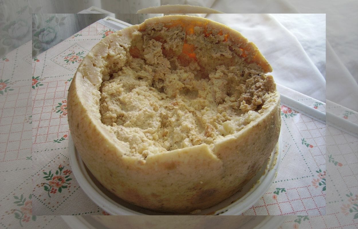 Ultime notizie sul Casu Marzu formaggio