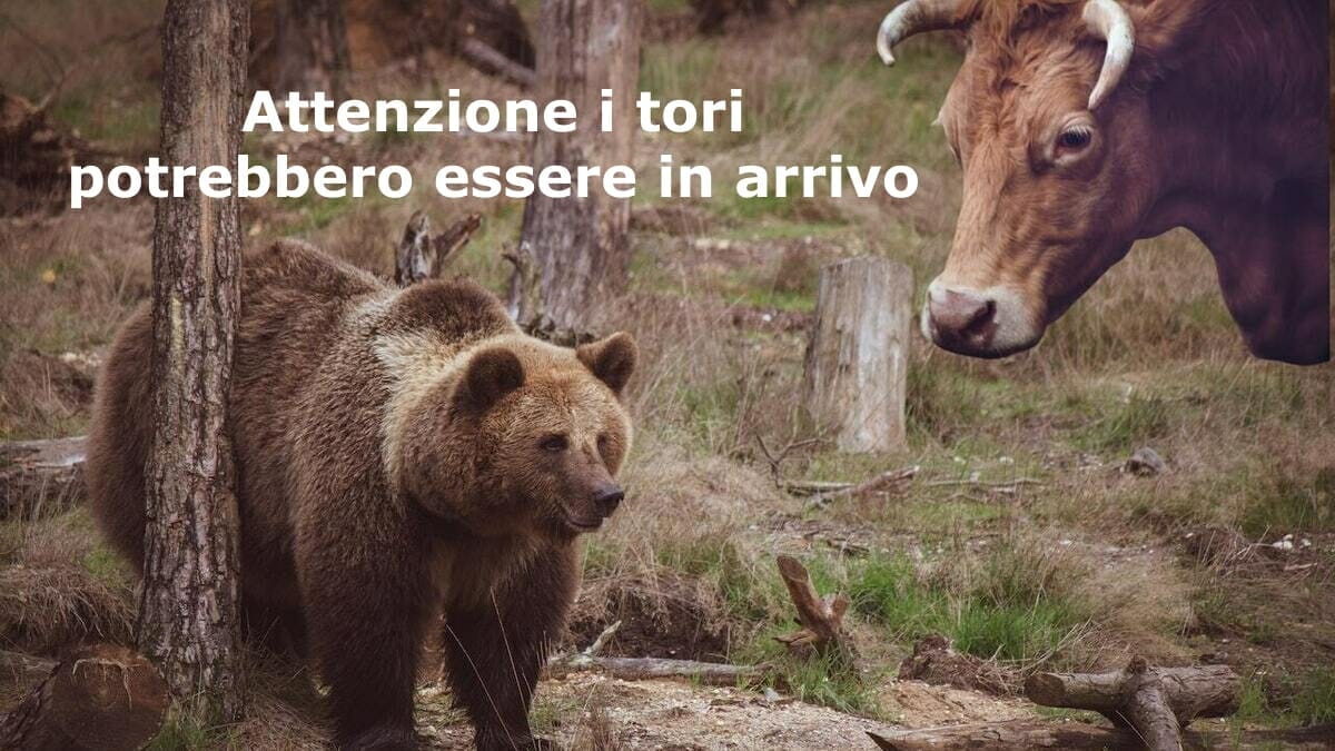 Rialzo in arrivo per Illimity Bank e NEXI?