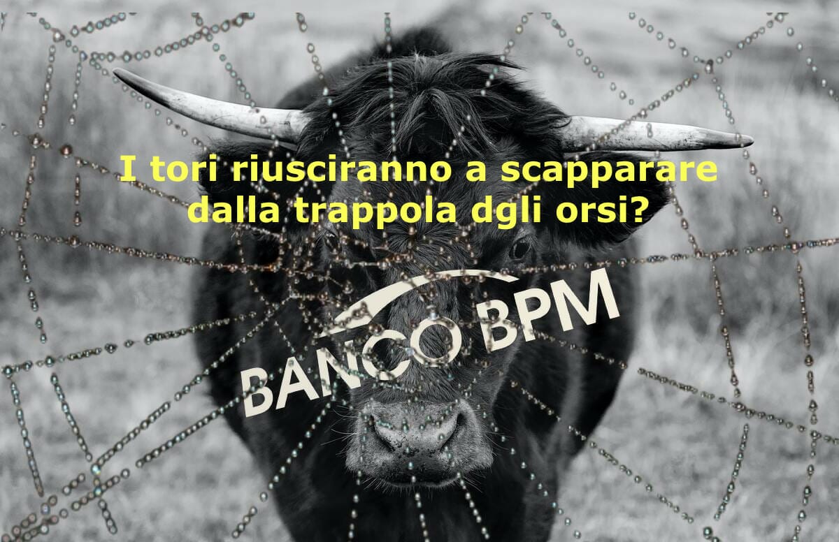 I tori riusciranno a sfuggire alla trappola tesa dagli orsi?