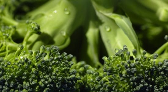3 ricette che ti faranno amare i broccoli