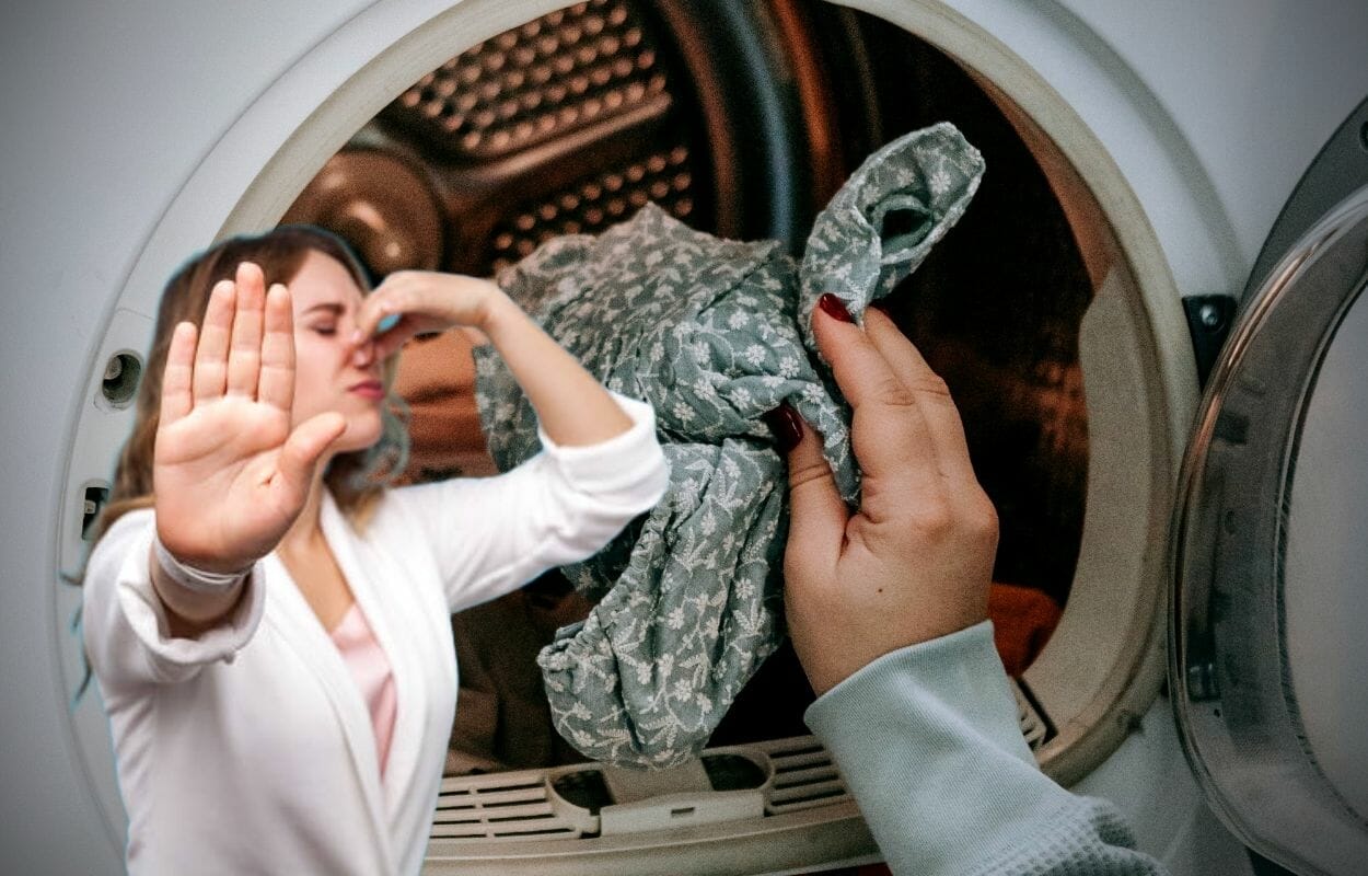 Addio all’odore di muffa e chiuso dalle tende