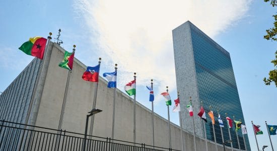 Cereali, l’ONU ha decretato il migliore-Sede ONU a New York