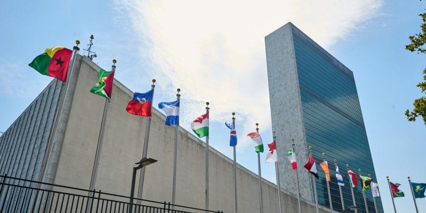 Cereali, l’ONU ha decretato il migliore-Sede ONU a New York