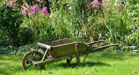 Il segreto per fertilizzare il terreno di orto e giardino