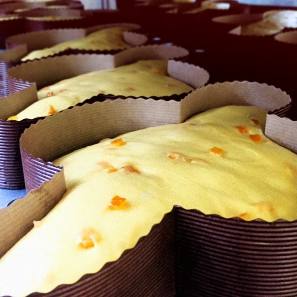 Le migliori 3 colombe al cioccolato secondo una classifica