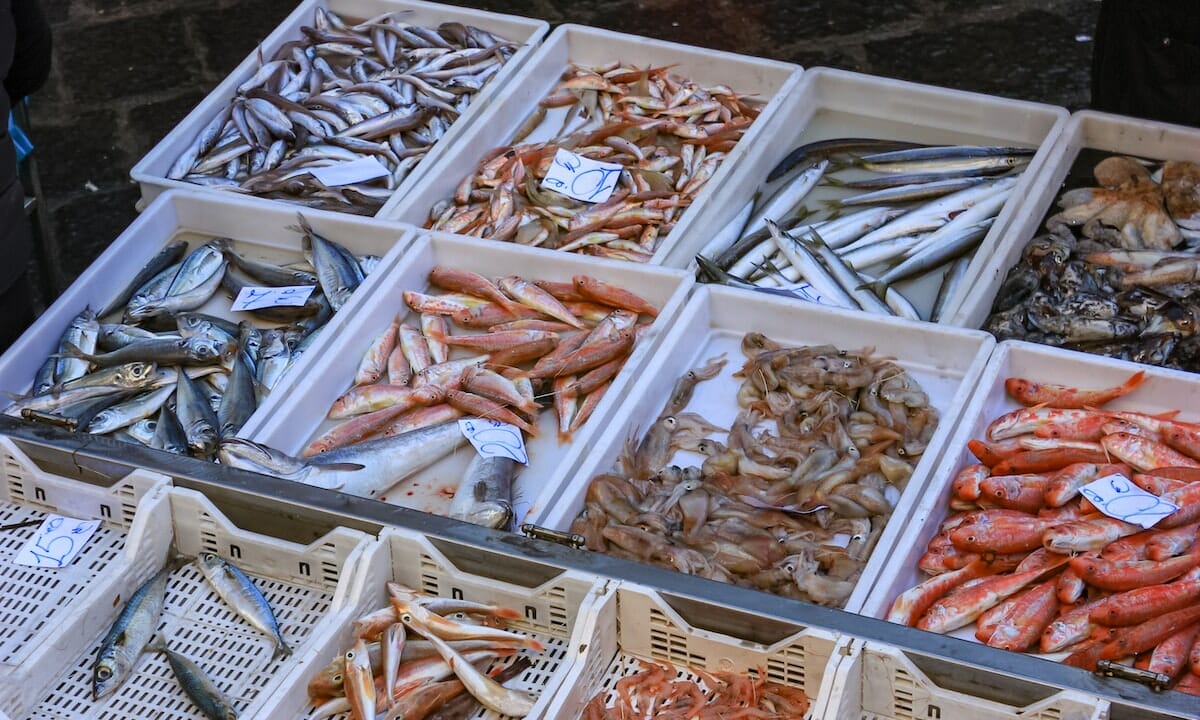 Pesce ricco di proteine