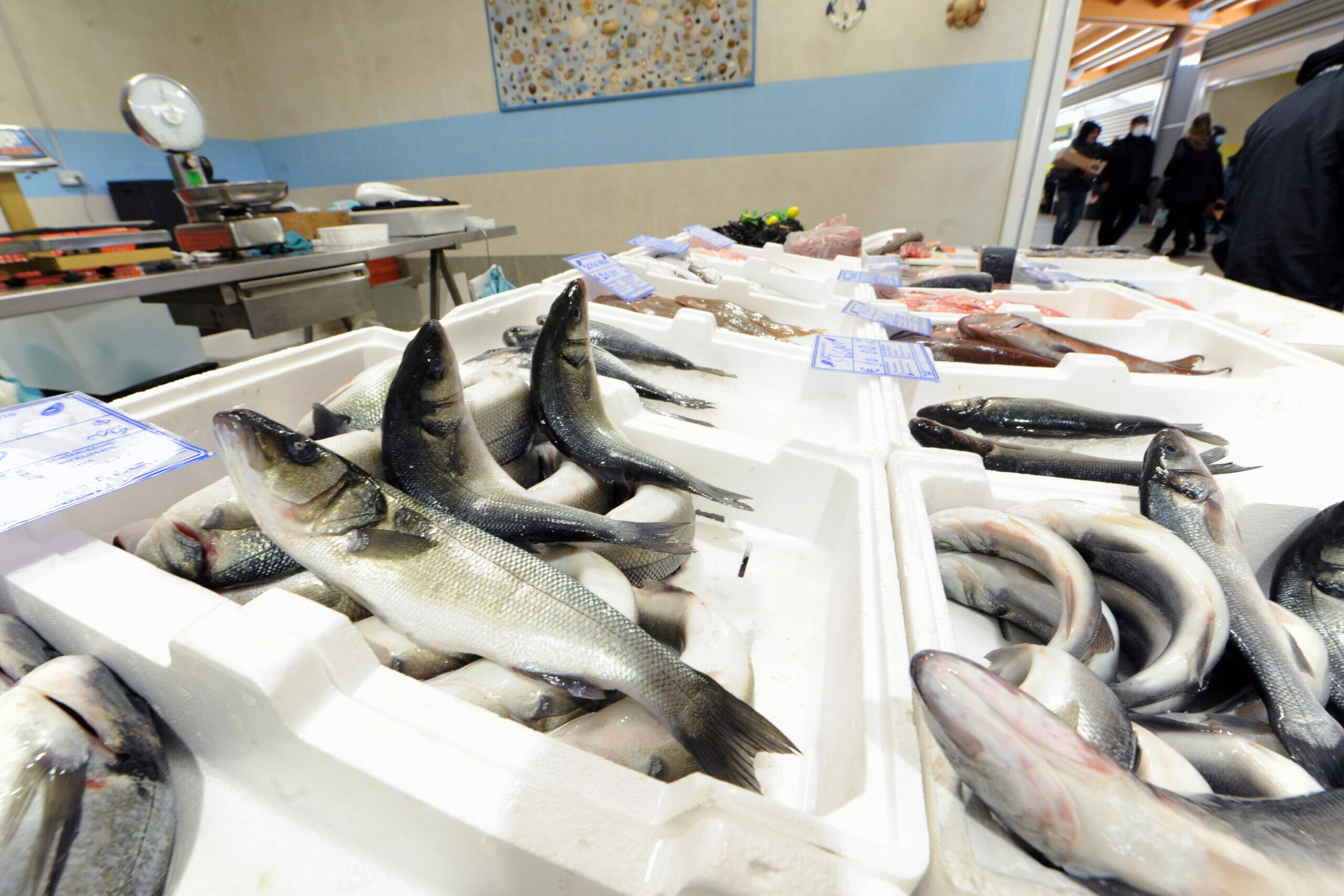 Se si ha il colesterolo alto attenzione a questi pesci