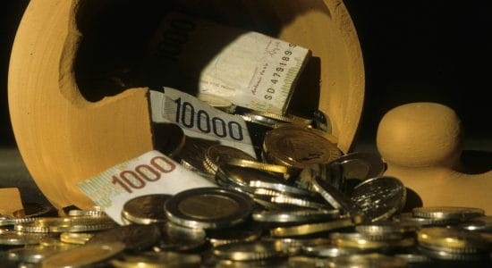 Chi trova le vecchie lire le può ancora cambiare in euro