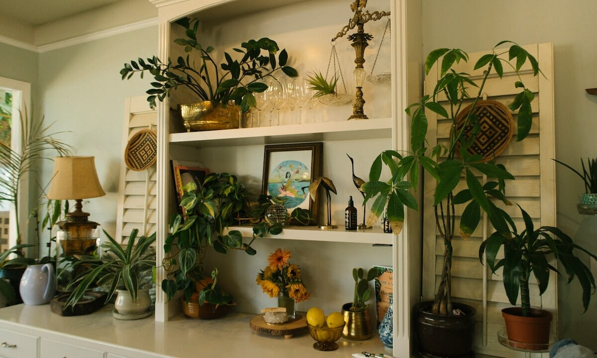 Come arredare con le piante