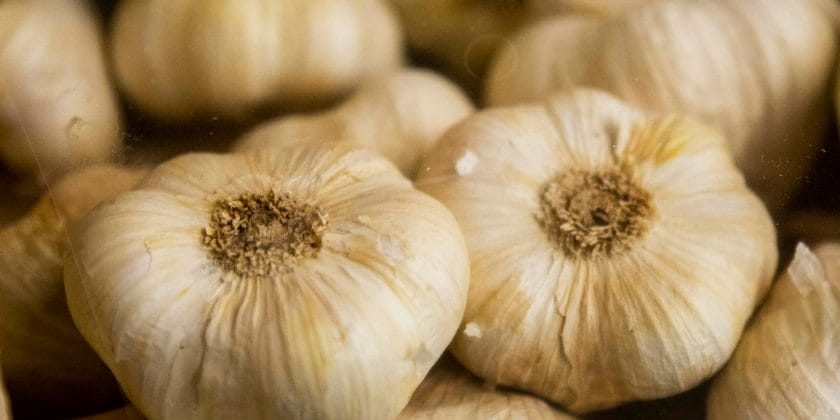 Proprietà terapeutiche dell'aglio e quanto se ne può mangiare-proiezionidiborsa.it