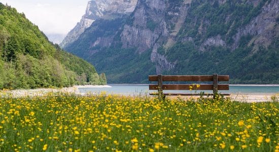 2 località della Svizzera immerse nella natura-Lago di Ginevra-proiezionidiborsa.it