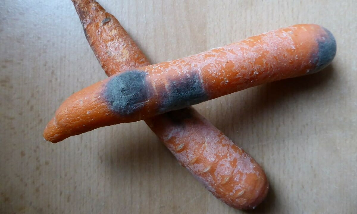 Col caldo i cibi vanno a male prima