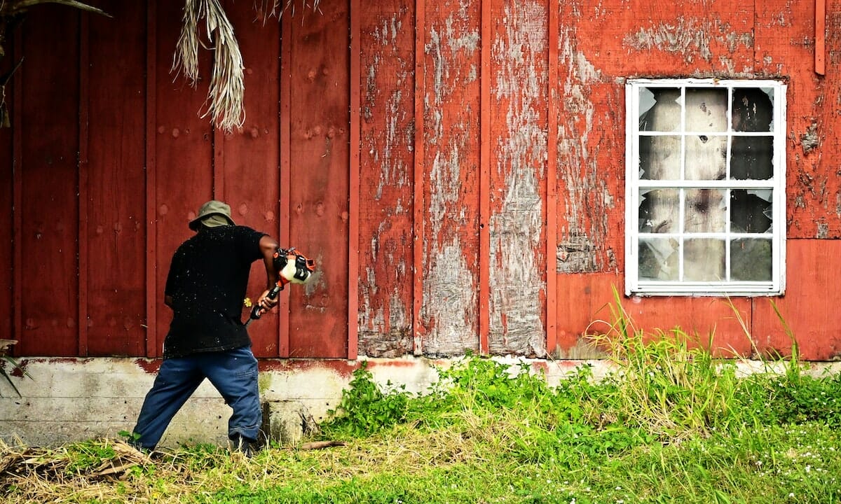 Vuoi dire addio alle erbacce