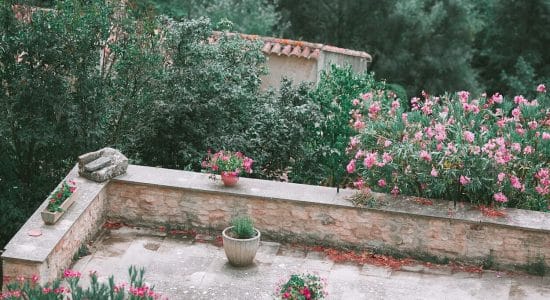 3 fantastiche idee per guadagnare soldi con il giardino