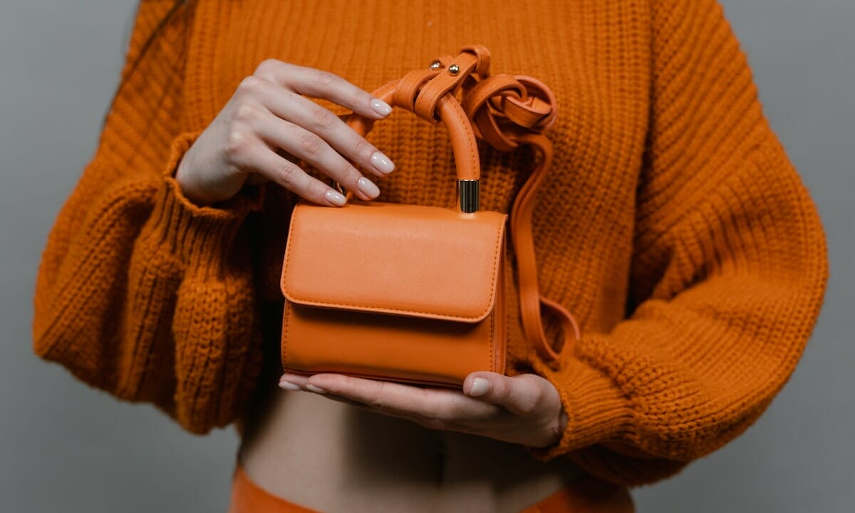 Tutte sono impazzite per queste borse bellissime