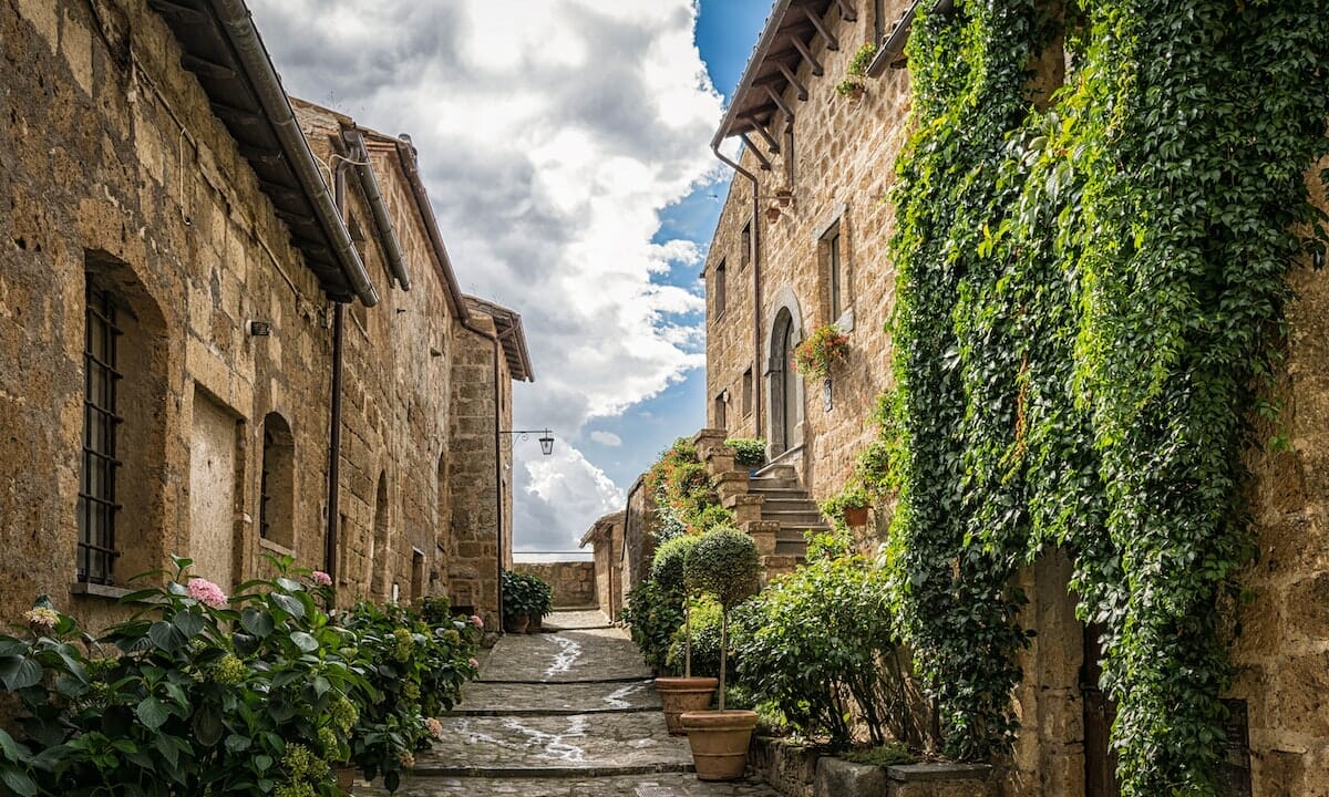 Piante anti caldo portentose