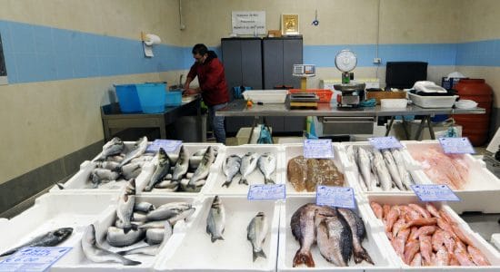Un pesce azzurro più economico del tonno-proiezionidiborsa.it