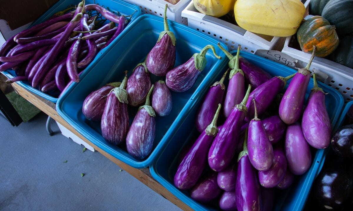 Sfiziose ricette con le melanzane